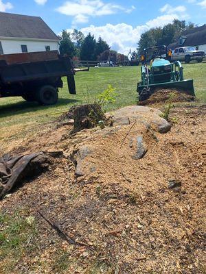 Stump grinding