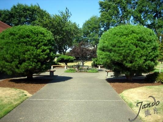 Courtyard