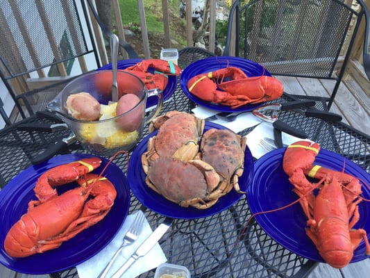 Fresh lobsters delivered to our room.