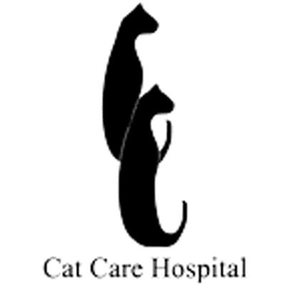 Cat Care Hospital