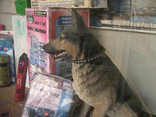 not yet dressed for Christmas, the plastic doggie in the window of Brown's Sporting Goods.