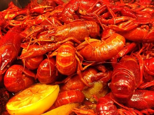 Crawfish