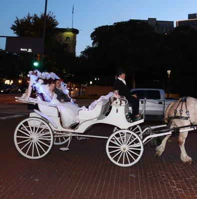 Horsedrawn Carriage Service