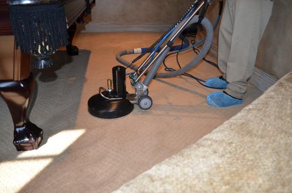 High end Carpet Cleaning Service