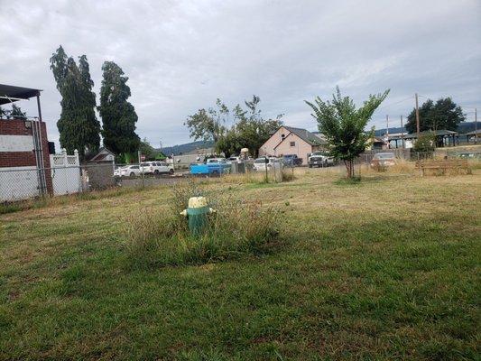 Lulu's Dog Park looking toward Main St in Cottage Grove, Oregon.