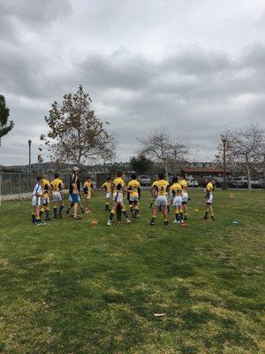 Rugby players playing a game