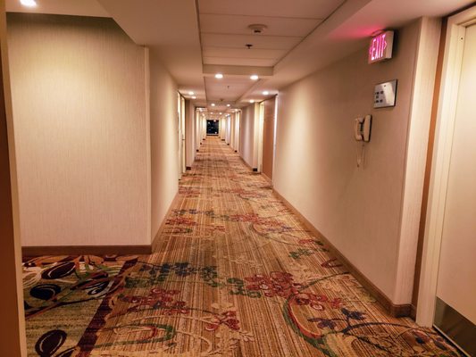 9th-Floor Hallway at Charleston Marriott Town Center