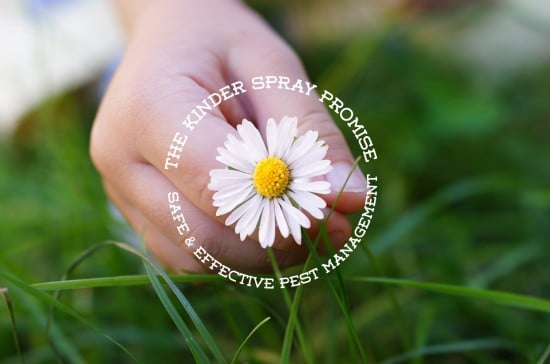 Safe and Effective Pest Management - Kinder Spray