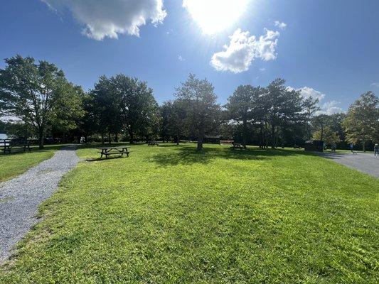 Park view. Picnic tables.