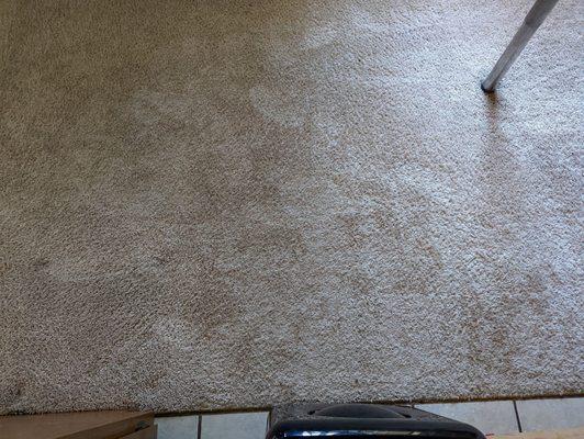 EnviroSteam Carpet & Upholstery Cleaning