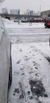 Black ice of Targets parking lot that I just slid after loading the dog food