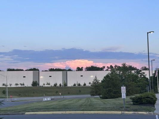 Looking across the street from the library.