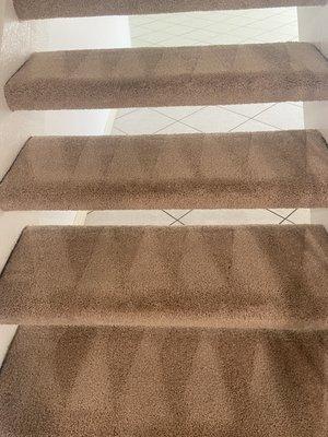 Ace Carpet Cleaning