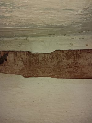 Termite damage on a boarded up basement window