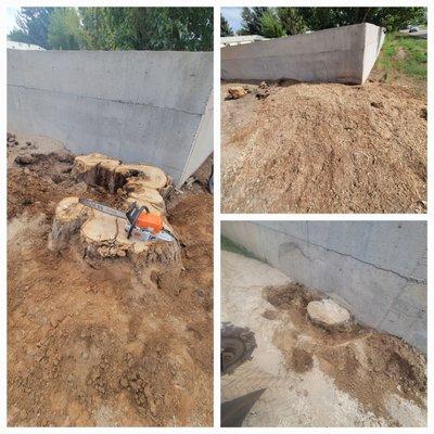 Holding Stump Removal LLC