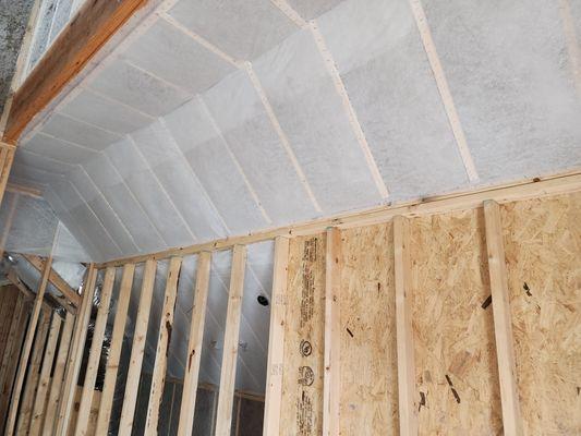 Netted and dense packed ceiling with cellulose