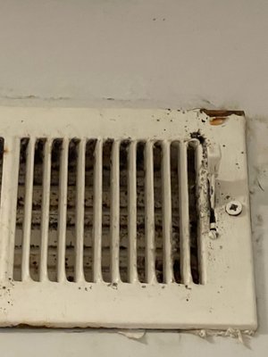 Mold in vents,