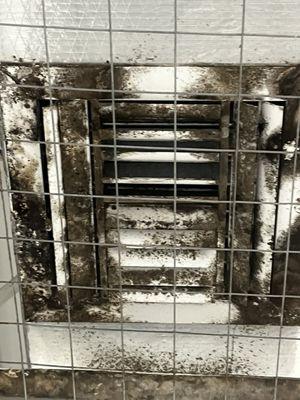 More mold on air conditioning, unit Public storage Blue Heron Blvd., West Palm Beach