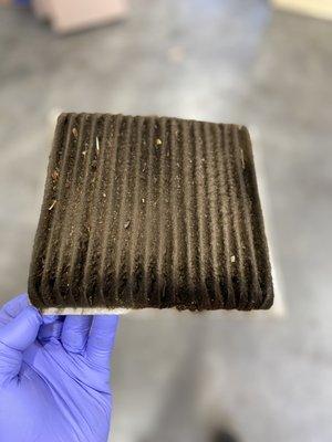 Clogged cabin air filter. Needs to be replaced.