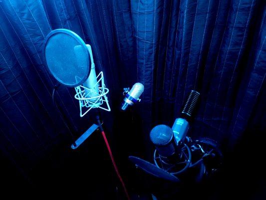 We record on some of the best mics in the state of Michigan.