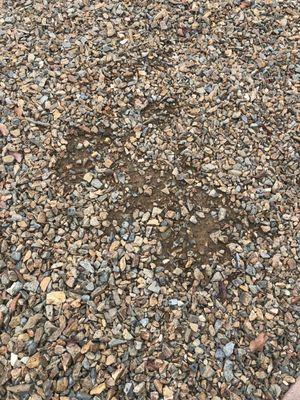 Decorative rock with dirt mixed in.