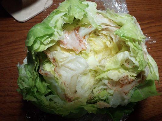 Iceberg lettuce just purchased. Was the least rotten of all of them.