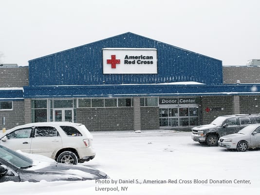 American Red Cross Blood Service