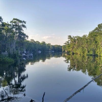 It is great to live just minutes from Ed Ball Wakulla Springs State Park. Here in Wakulla County we have the best of all...