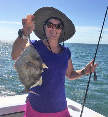 A big Trigger Fish