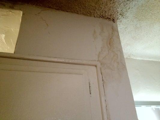 This is the outside of the pantry, remember NOT FIXED FOR 4 MONTHS. Image the mold its hiding.