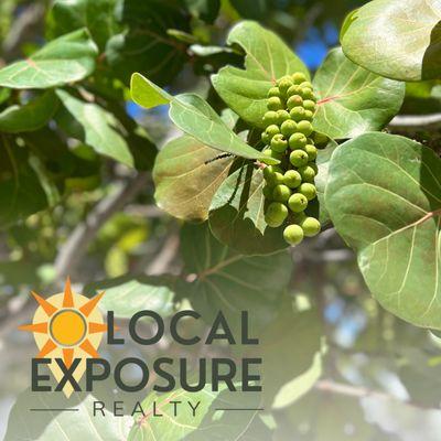 Local Exposure Realty, a Florida-native brokerage in Port St. Lucie