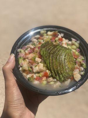 Ceviche regular size platter