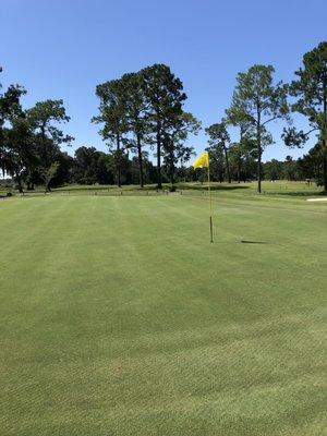 Well maintained greens and pines.