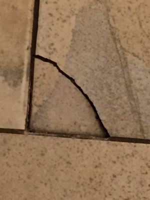 Absolutely DO NOT use this company. All brand new floor tiles are cracking