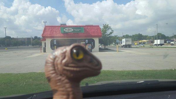 Bob the Raptor Says "Roman Burger Prey is really good."