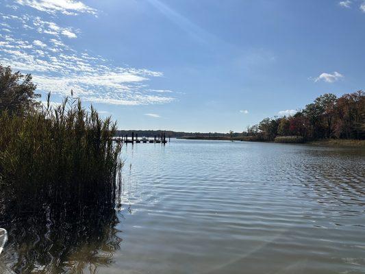 View of the lagoon adjacent to the Bay where the kayak/paddle board/canoe launch is.