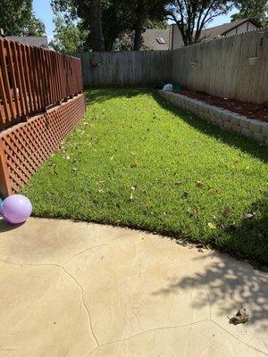 Grass and wall