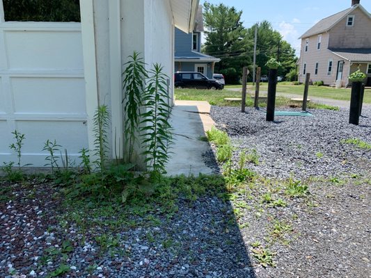 Exposed conduit and sinkhole and sinking sidewalk.