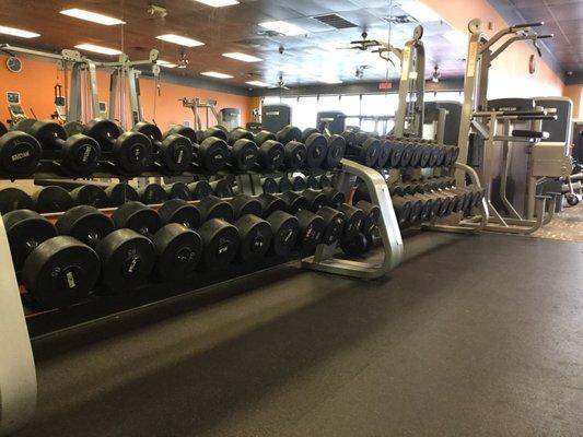 Free Weights