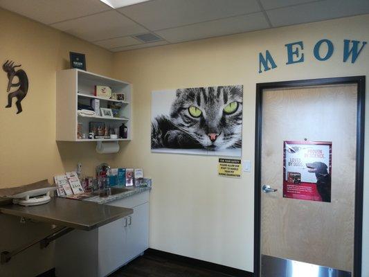 "Meow" Exam room