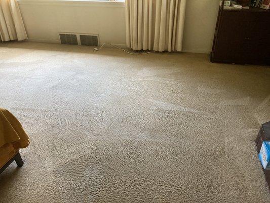 Oxi Fresh Carpet Cleaning