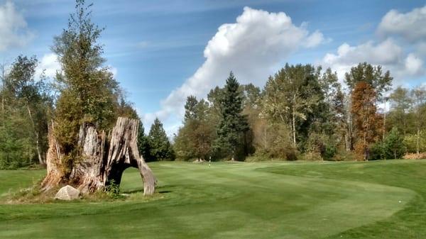 Avalon Golf Links