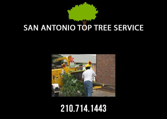 San Antonio Top Tree Service