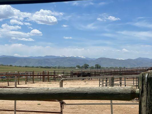 View from one of the Paddocks at Legacy Stables.