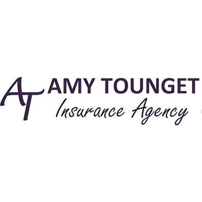 Amy Tounget Insurance Agency, LLC