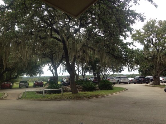 Parking area and lovely moss covered trees