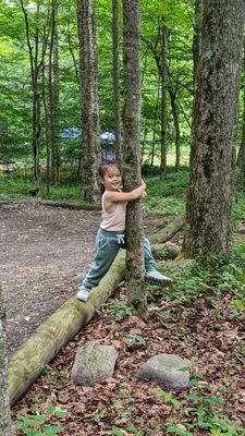 a natural tree hugger