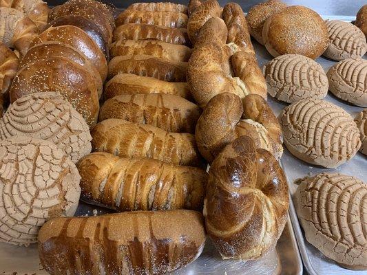 Pandulce - sweet bread !