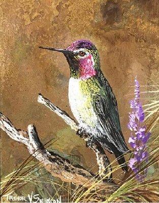 "Ruby-Throated Hummer" Oil on Metal by Trevor Swanson 727-734-8200 art@plainsmen.com