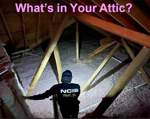 Insulation slows the heat transfer in your attic. 
Our product stops heat transfer by 97%!